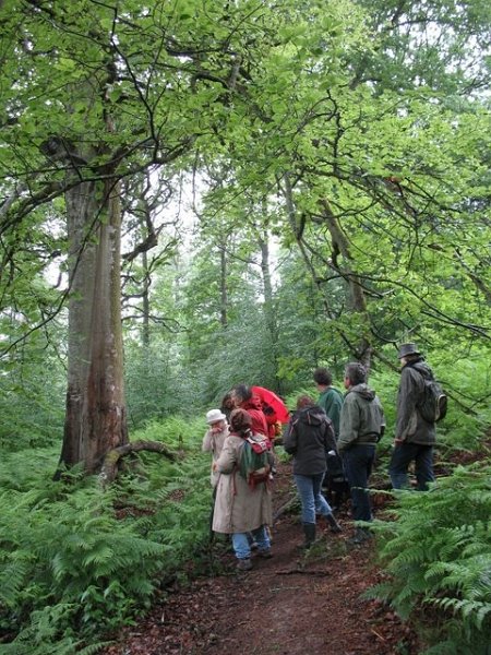 2007 05 Myco porte Baudet 02